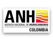 ANH